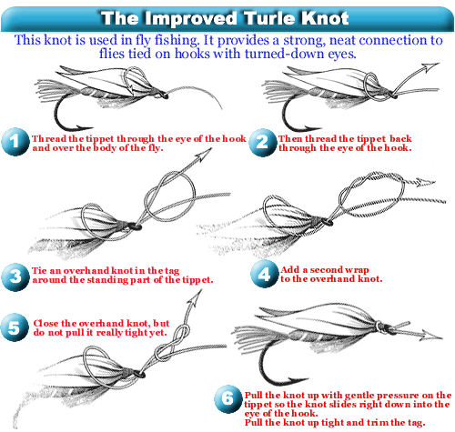 Turle Knot