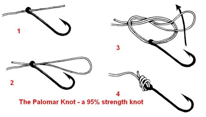 The Fishing Knots You Need to Know