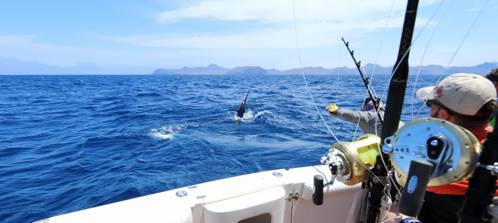 Deep Sea Fishing Hooks